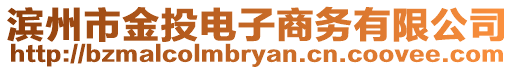 濱州市金投電子商務有限公司