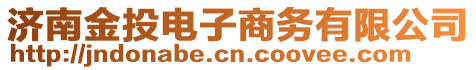 濟南金投電子商務有限公司