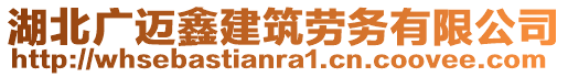 湖北廣邁鑫建筑勞務有限公司