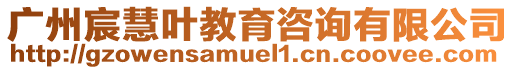 廣州宸慧葉教育咨詢有限公司