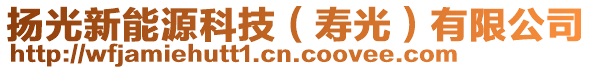 揚(yáng)光新能源科技（壽光）有限公司