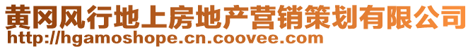 黃岡風行地上房地產營銷策劃有限公司