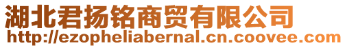 湖北君揚(yáng)銘商貿(mào)有限公司