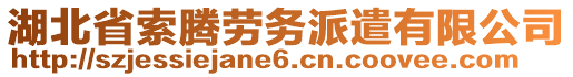 湖北省索騰勞務(wù)派遣有限公司