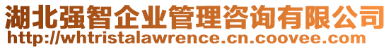 湖北強(qiáng)智企業(yè)管理咨詢有限公司