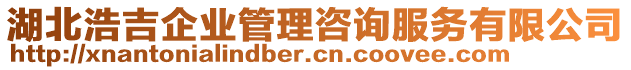 湖北浩吉企業(yè)管理咨詢服務(wù)有限公司