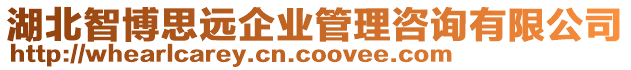 湖北智博思遠企業管理咨詢有限公司