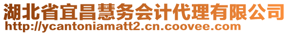 湖北省宜昌慧務(wù)會(huì)計(jì)代理有限公司