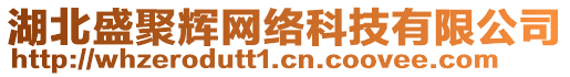 湖北盛聚輝網絡科技有限公司