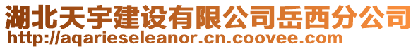 湖北天宇建設有限公司岳西分公司