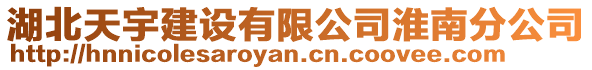 湖北天宇建設有限公司淮南分公司