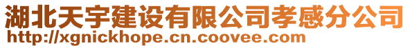 湖北天宇建設(shè)有限公司孝感分公司