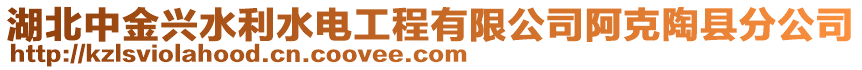 湖北中金興水利水電工程有限公司阿克陶縣分公司