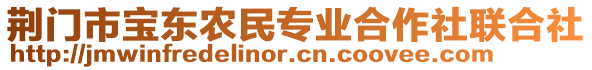 荊門市寶東農民專業(yè)合作社聯(lián)合社