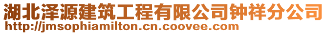 湖北澤源建筑工程有限公司鐘祥分公司