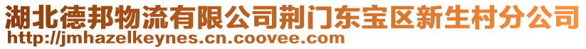 湖北德邦物流有限公司荊門東寶區(qū)新生村分公司