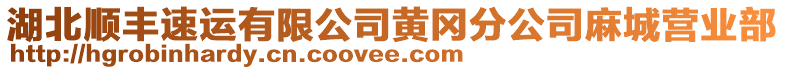 湖北順豐速運(yùn)有限公司黃岡分公司麻城營業(yè)部