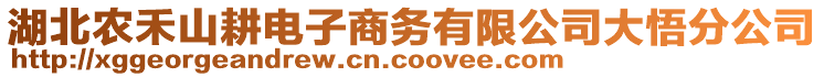 湖北農(nóng)禾山耕電子商務(wù)有限公司大悟分公司