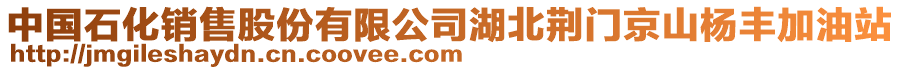 中國石化銷售股份有限公司湖北荊門京山楊豐加油站