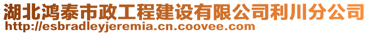 湖北鴻泰市政工程建設(shè)有限公司利川分公司