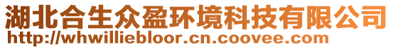 湖北合生眾盈環(huán)境科技有限公司