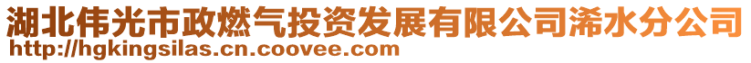 湖北偉光市政燃氣投資發展有限公司浠水分公司
