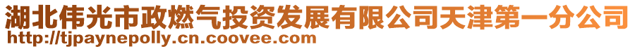 湖北偉光市政燃?xì)馔顿Y發(fā)展有限公司天津第一分公司