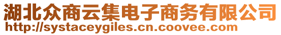 湖北眾商云集電子商務(wù)有限公司