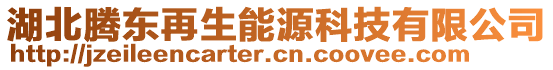 湖北騰東再生能源科技有限公司