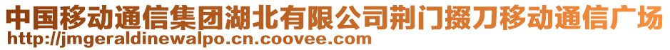 中國移動通信集團湖北有限公司荊門掇刀移動通信廣場