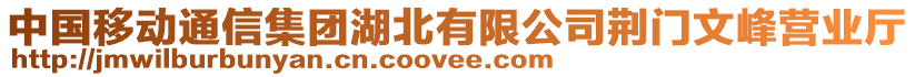 中國移動通信集團(tuán)湖北有限公司荊門文峰營業(yè)廳