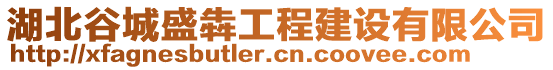 湖北谷城盛犇工程建設(shè)有限公司