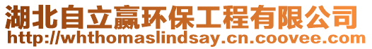 湖北自立贏環(huán)保工程有限公司