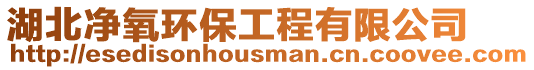 湖北凈氧環(huán)保工程有限公司