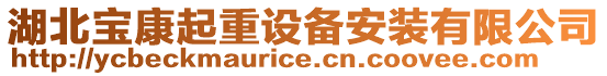 湖北寶康起重設備安裝有限公司