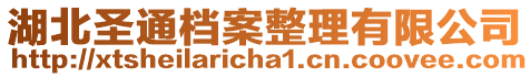湖北圣通檔案整理有限公司
