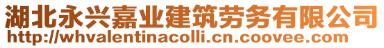 湖北永興嘉業(yè)建筑勞務(wù)有限公司