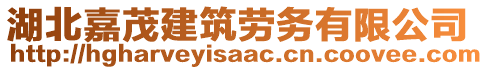 湖北嘉茂建筑勞務有限公司