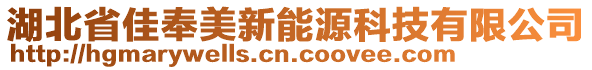 湖北省佳奉美新能源科技有限公司