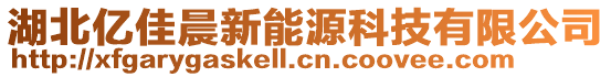 湖北億佳晨新能源科技有限公司