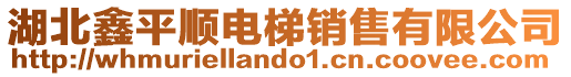 湖北鑫平順電梯銷售有限公司