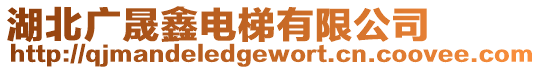 湖北廣晟鑫電梯有限公司