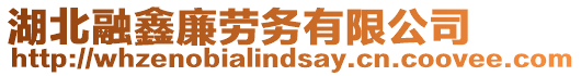 湖北融鑫廉勞務(wù)有限公司