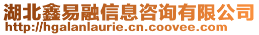 湖北鑫易融信息咨詢有限公司