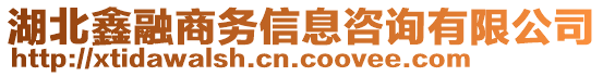 湖北鑫融商務(wù)信息咨詢有限公司