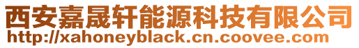 西安嘉晟軒能源科技有限公司