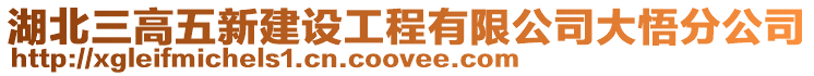 湖北三高五新建設工程有限公司大悟分公司