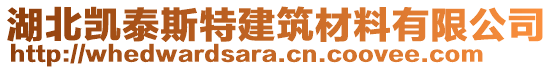 湖北凱泰斯特建筑材料有限公司