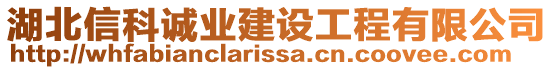 湖北信科誠業(yè)建設(shè)工程有限公司