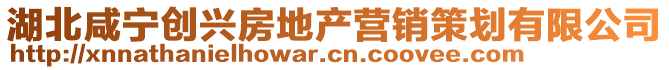 湖北咸寧創興房地產營銷策劃有限公司
